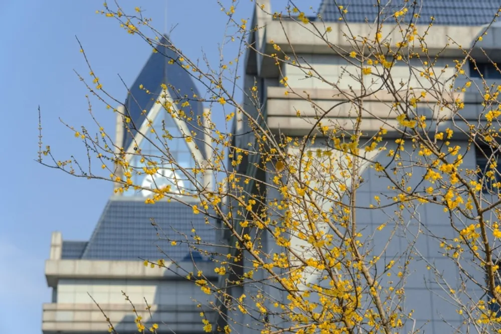 ศูนย์วิจัยและห้องปฏิบัติการ Nanjing University of Information Science and Technology