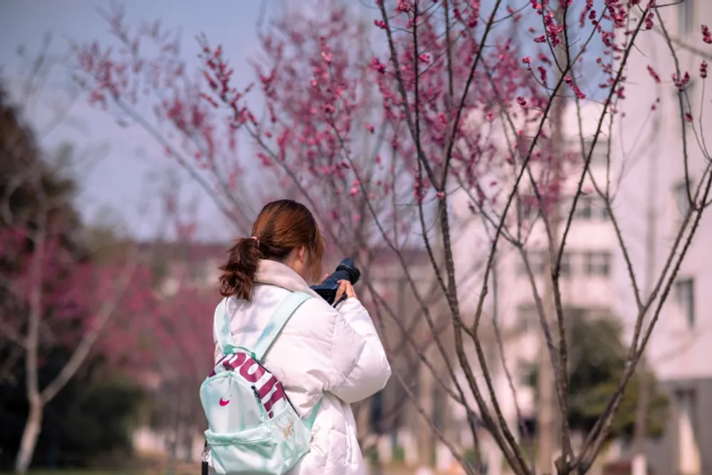 Nanjing University of Information Science and Technology