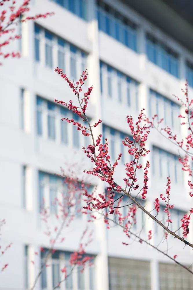 บรรยากาศและสิ่งแวดล้อม Nanjing University of Information Science and Technology