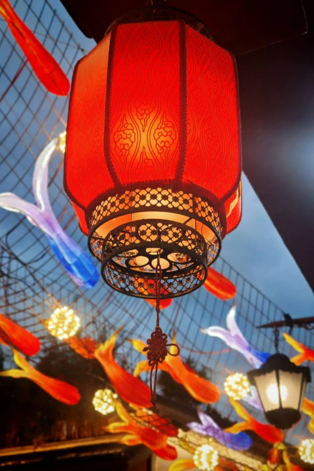 ประสบการณ์มาเรียนภาษาจีน 1 ปี ที่เมือง Qujing ประเทศจีน