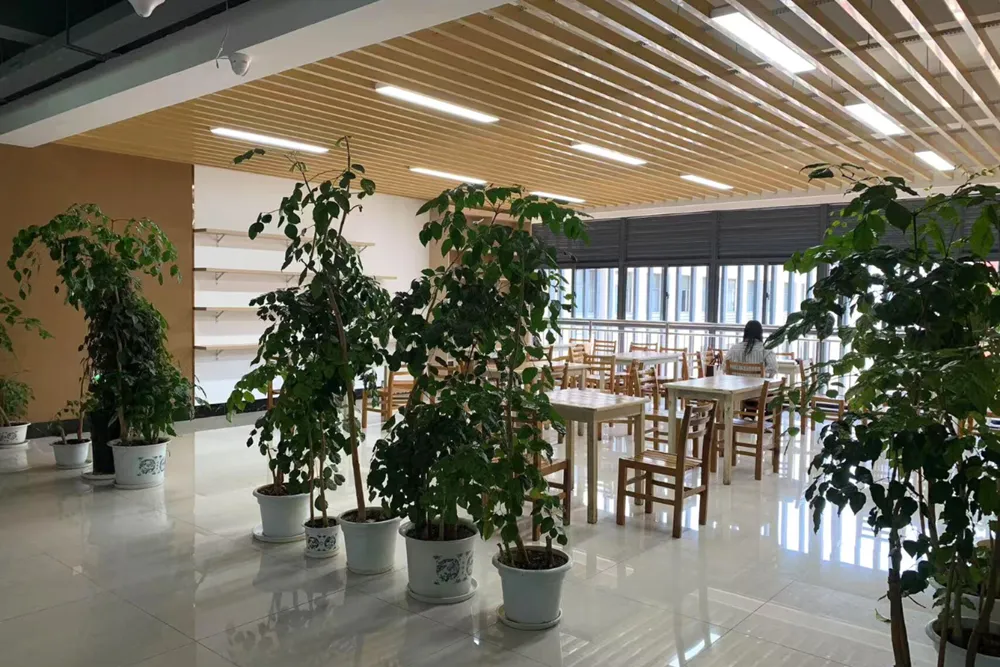 Yunnan Normal University Review By น้องแพท
