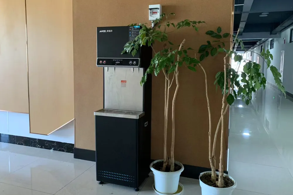 Yunnan Normal University Review By น้องแพท