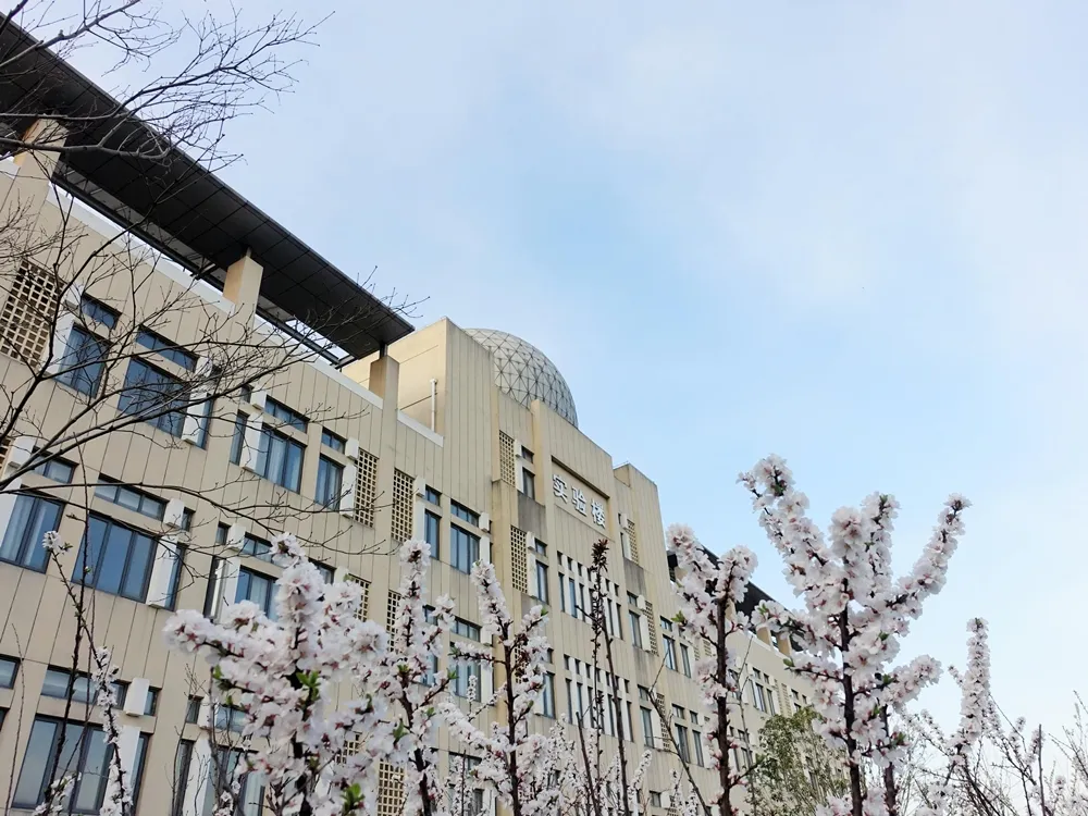 โรงเรียนมัธยมสาธิตหัวตง High School Affiliated to East China Normal University