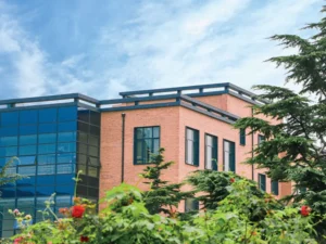 Qingdao City University