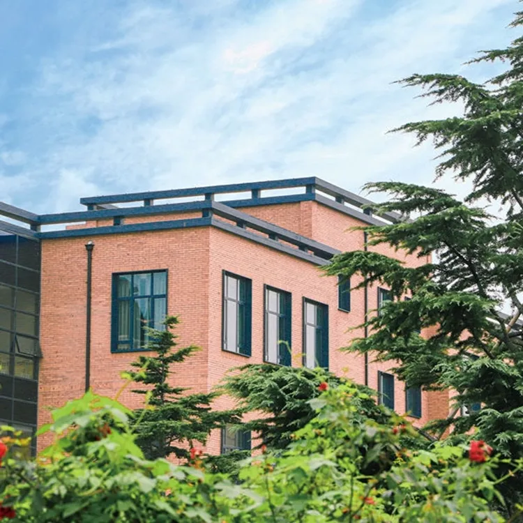 Qingdao City University