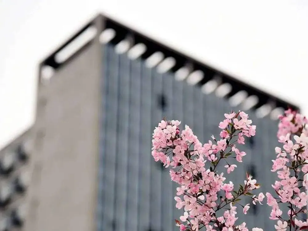 Qingdao City University