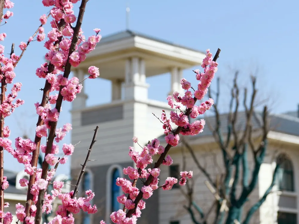 Qingdao City University