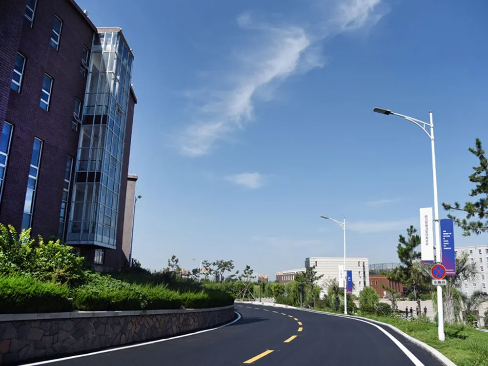 Qingdao City University