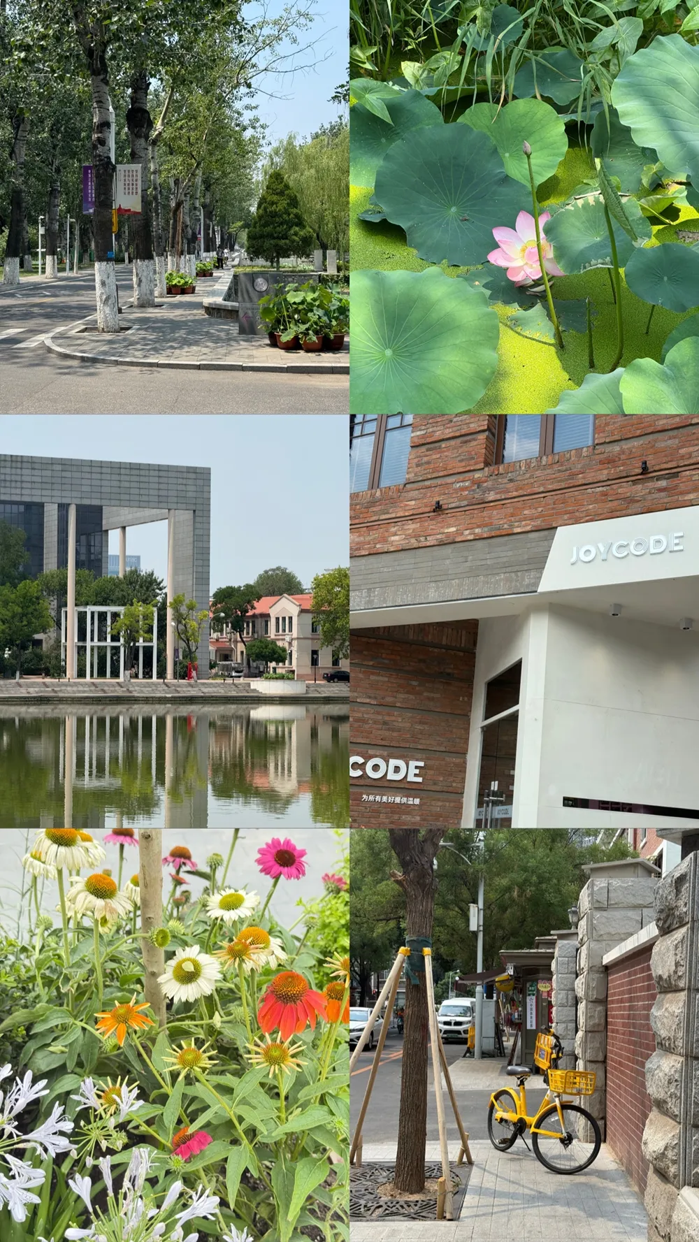 บรรยากาศรอบ ๆ Nankai University