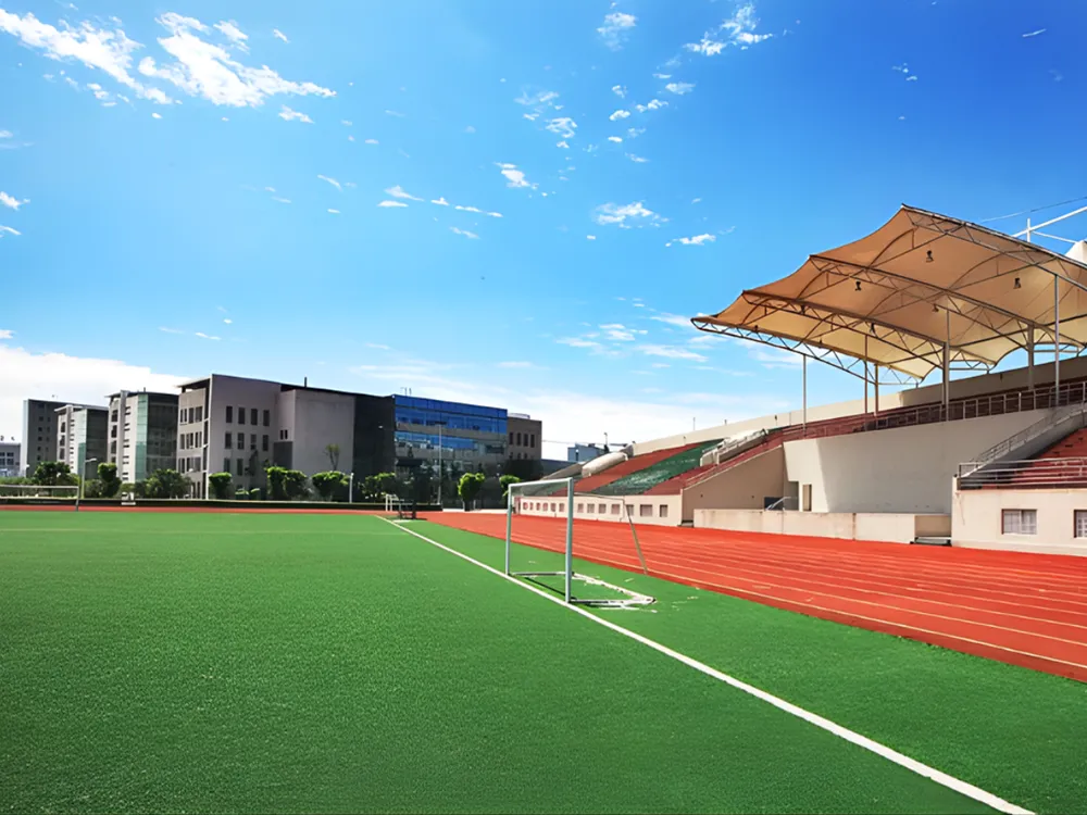 สนามฟุตบอลของ Sichuan Agricultural University