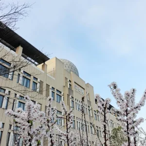 โรงเรียนมัธยมสาธิตหัวตง High School Affiliated to East China Normal University